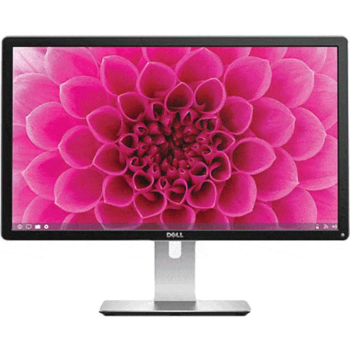 24” Dell P2415Q for rent