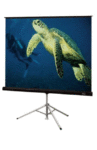 96&#8243; x 96&#8243; Tripod Projection Screen for rent