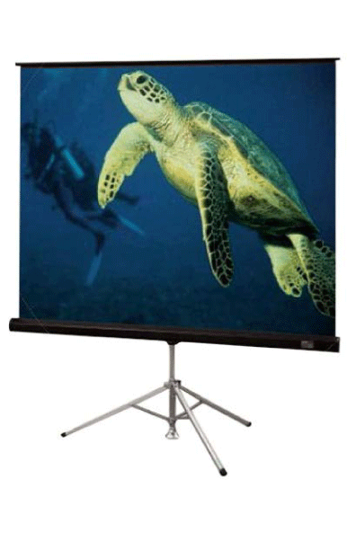96" x 96" Tripod Projection Screen for rent