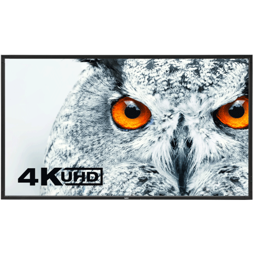 98" NEC X981UHD for rent