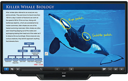 Sharp L803C Aquos 80″ Touchscreen monitor